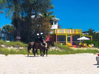 Absolute Paradise Ami-Private Beach Access-Water Views From Every Window-Heated Pool- Walk To 14 Restaurants - 1