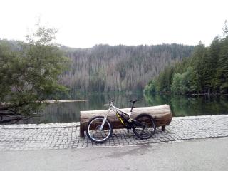 Alm-House HOLLMANN - 3
