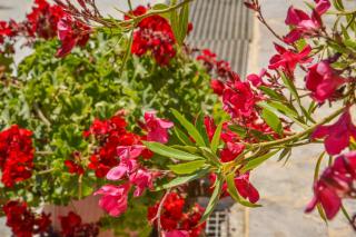 Emilia's Little Farmhouses - Agii Anargiri Milos - 1