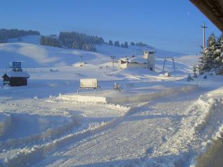 Albergo Miramonti Dependance - Asiago - 3