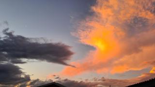 Forest Hill Country Lodge - 4