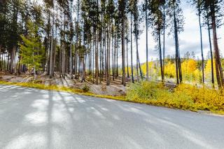 Beaver Village 15-11 - 6