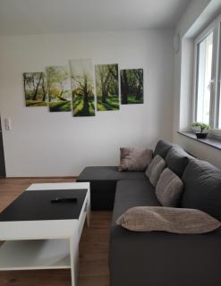 FeWo Obstbäumle mit Pool Matzenweilerhof - Neukirch - 6