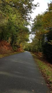 BELLE VISNONIA meublé de caractère Sud Morbihan - 1