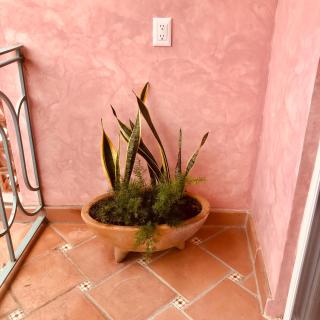 Casa Bella Rosa- stunning apartment in the center of town - San Francisco - 5