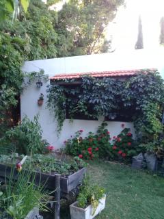 Casa en Luján de Cuyo con pileta - 1