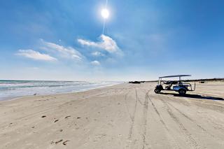 The Turtle Pack at Palmilla Beach - 9