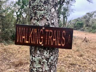 The Grand Luxury Safari Villa - 7