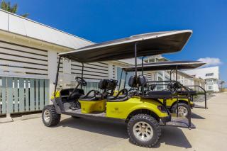 Seaweed Palm at Palmilla Beach - 5