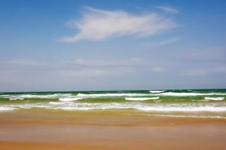 Island Escape & Huisache Townhome - South Padre Island - 6