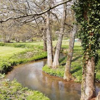 Au fil de l'eau à la campagne - - 6