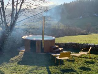 CASARIOU Les Bernards Villa Grande bâtisse 12p avec cheminée bain nordique billiard piscine - Vaudevant - 8