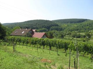 Balatonlelle-Kishegy - 6