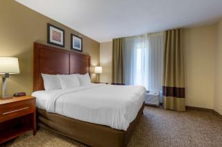 Comfort Inn & Suites Cambridge - Cambridge - 2