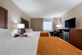 Comfort Inn Binghamton I-81 - Binghamton - 4