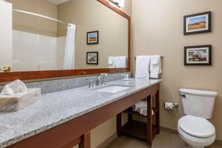 Comfort Inn & Suites Northern Kentucky - Wilder - 6