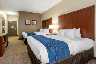 Comfort Inn & Suites Northern Kentucky - Wilder - 5
