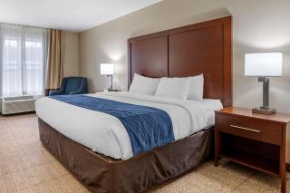 Comfort Inn & Suites Northern Kentucky - Wilder - 1