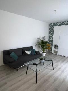 Un havre de paix en plein coeur de ville près Chu - Clermont-Ferrand - 7