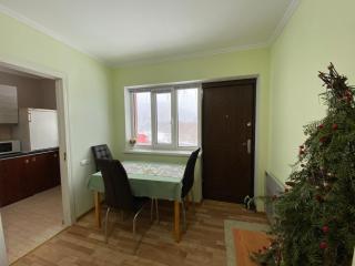 ZWIN Apartment 2 - Skole - 8