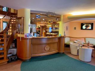 Hotel Loucky - Litvínov - 8