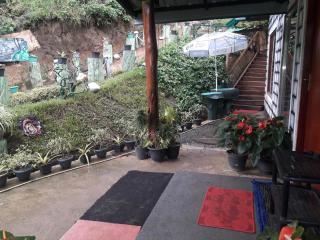 Ohiya Jungle resort - 1