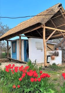 Traditional House in Danube Delta - 3