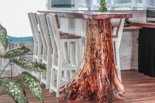 Nias Surf Villa. Beach front. Wave view! - 4