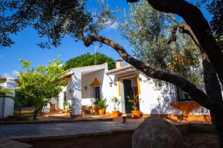 El Molino del Huertezuelo - La Palma del Condado - 9