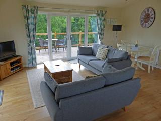 Shropshire Lodges - Romantic Luxury Hot Tub Breaks - Bridgnorth - 1