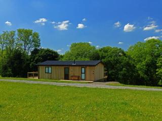 Shropshire Lodges - Romantic Luxury Hot Tub Breaks - 6