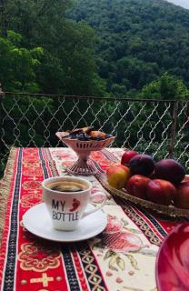 Aygut Guest House - Aygut - 1