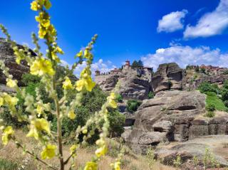 The Stone Forest - Kalambaka - 5