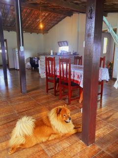 Apartamento rústico - 7