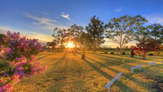 Castlereagh Motor Inn - Gilgandra - 4