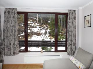 Deer's Home at Elit Pamporovo - Pamporovo - 6
