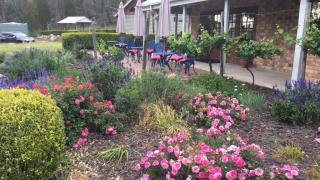 Girraween Country Inn - Ballandean - 2