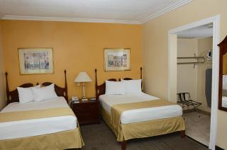 Hotel Plaza Calzada - Monterrey - 4