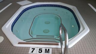 Best Western Plus Brandon Inn - Brandon - 7