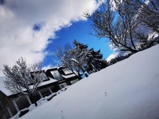 Doinita House - Borşa - 0