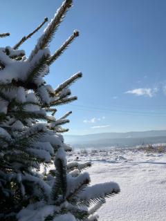 Villa Family House Truskavets - 6