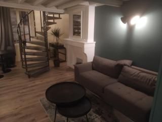 Duplex Viennois - Vienne - 3