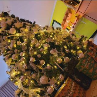 Pension Am Nationalpark - 8