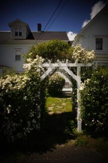 Inn on Frederick - Saint Andrews - 7