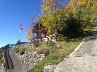 Chalet - Haus Ahorn Ost - Hasliberg - 9