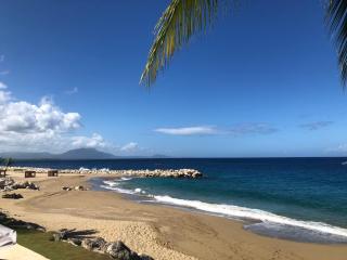 Vacations in the Caribbean Paradise - Sosúa - 1