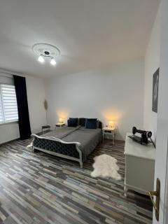 Center Retro Apartment - Niš - 4