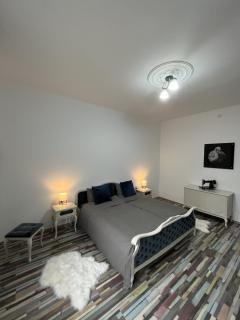 Center Retro Apartment - Niš - 3