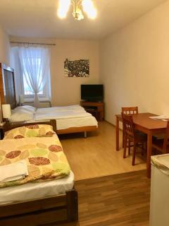 Penzion Mlýnický Dvůr - 8