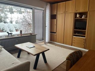 Cozy Condo, Ski in and Out - Todtnau - 5